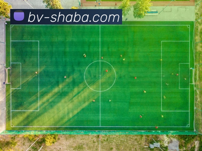 App Interface Preview